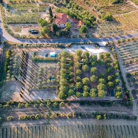 Agricamping Poggio Ai Pini Wine Kemp