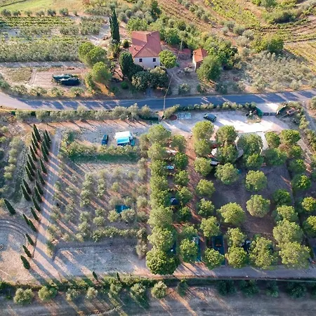 Agricamping Poggio Ai Pini Wine