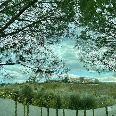 Campeggio Agricamping Poggio Ai Pini Wine Certaldo