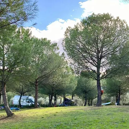 Kemp Agricamping Poggio Ai Pini Wine *