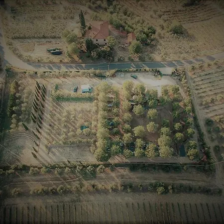 Agricamping Poggio Ai Pini Wine Kemp Certaldo