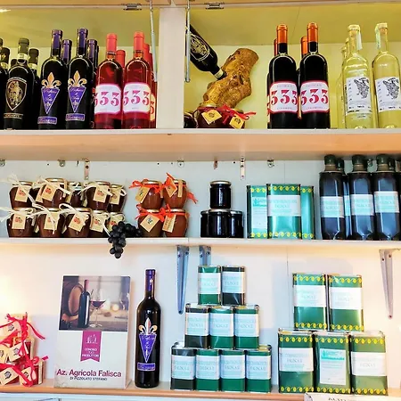 Agricamping Poggio Ai Pini Wine Kemp *