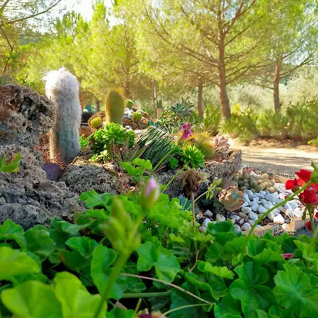 Agricamping Poggio Ai Pini Wine Campingplads