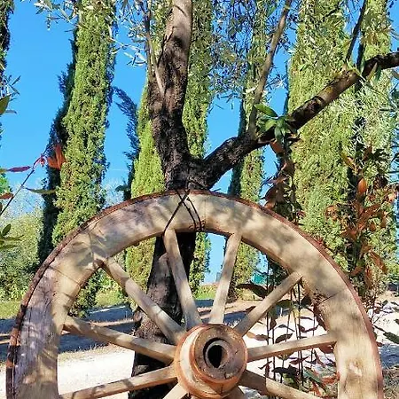 Campeggio Agricamping Poggio Ai Pini Wine