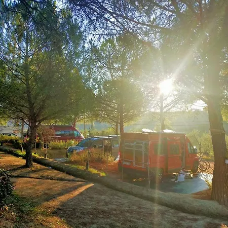 Campingplads Agricamping Poggio Ai Pini Wine