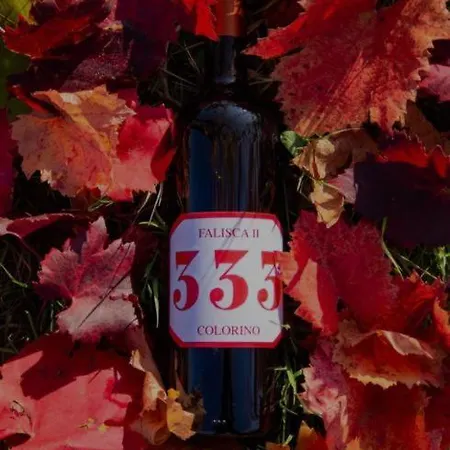 Kemp Agricamping Poggio Ai Pini Wine *