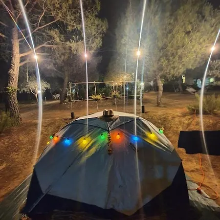 Campingplatz Agricamping Poggio Ai Pini Wine *