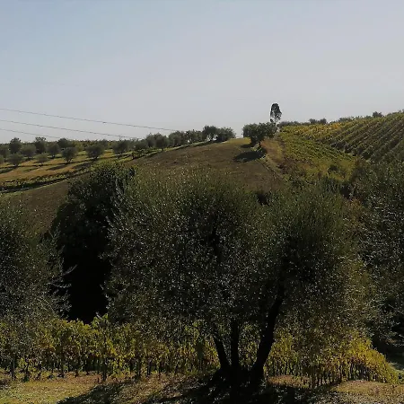 Agricamping Poggio Ai Pini Wine Campingplatz *