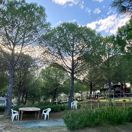 Agricamping Poggio Ai Pini Wine Campingplatz Certaldo
