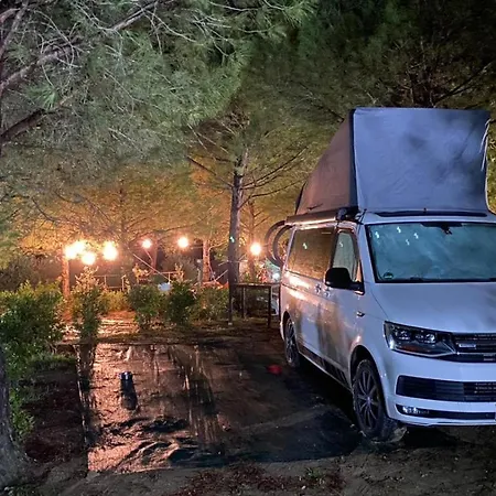 Agricamping Poggio Ai Pini Wine Campingplatz Certaldo