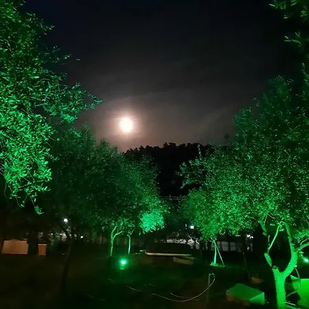 Agricamping Poggio Ai Pini Wine * Certaldo