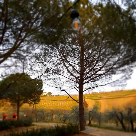 Agricamping Poggio Ai Pini Wine Certaldo