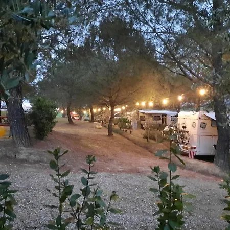 Agricamping Poggio Ai Pini Wine *